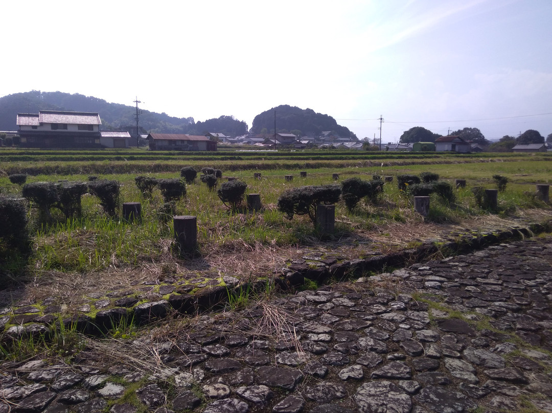 The Legendary Site of Asuka Itabuki Miya景点图片