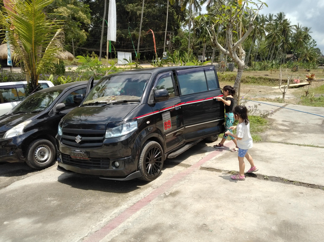 Made Driver Bali - Private Driver in Bali & Day Tour Packages景点图片