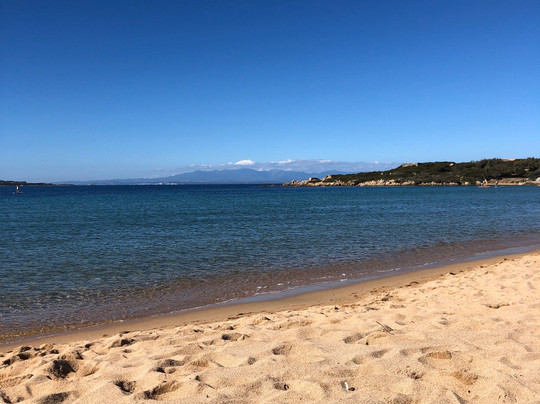 Wind Windsurf Porto Pollo - 1 Day Lesson-Porto Pollo必去景点