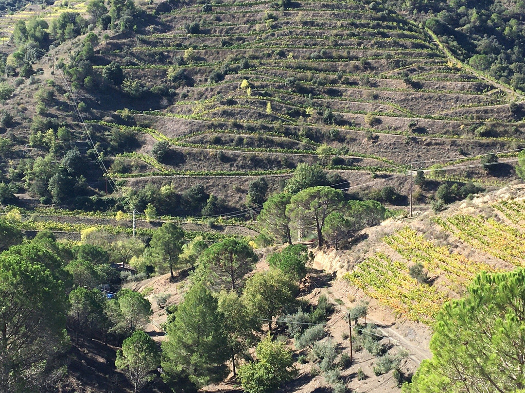 Priorat Natur景点图片