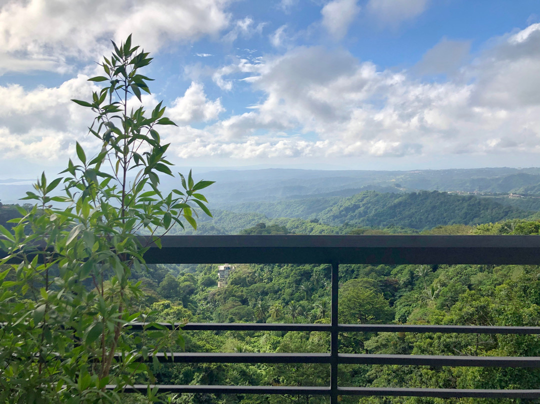 Stellar Potter's Ridge主图