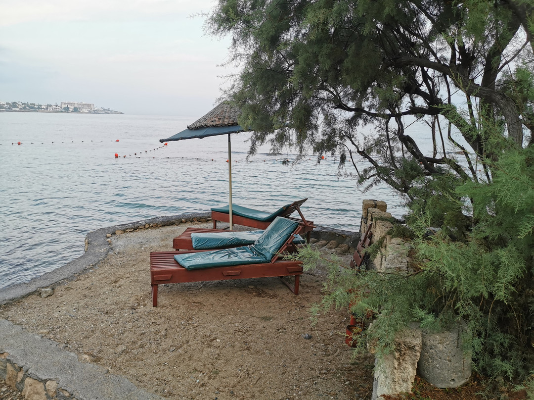 Riviera Beach Bungalows主图