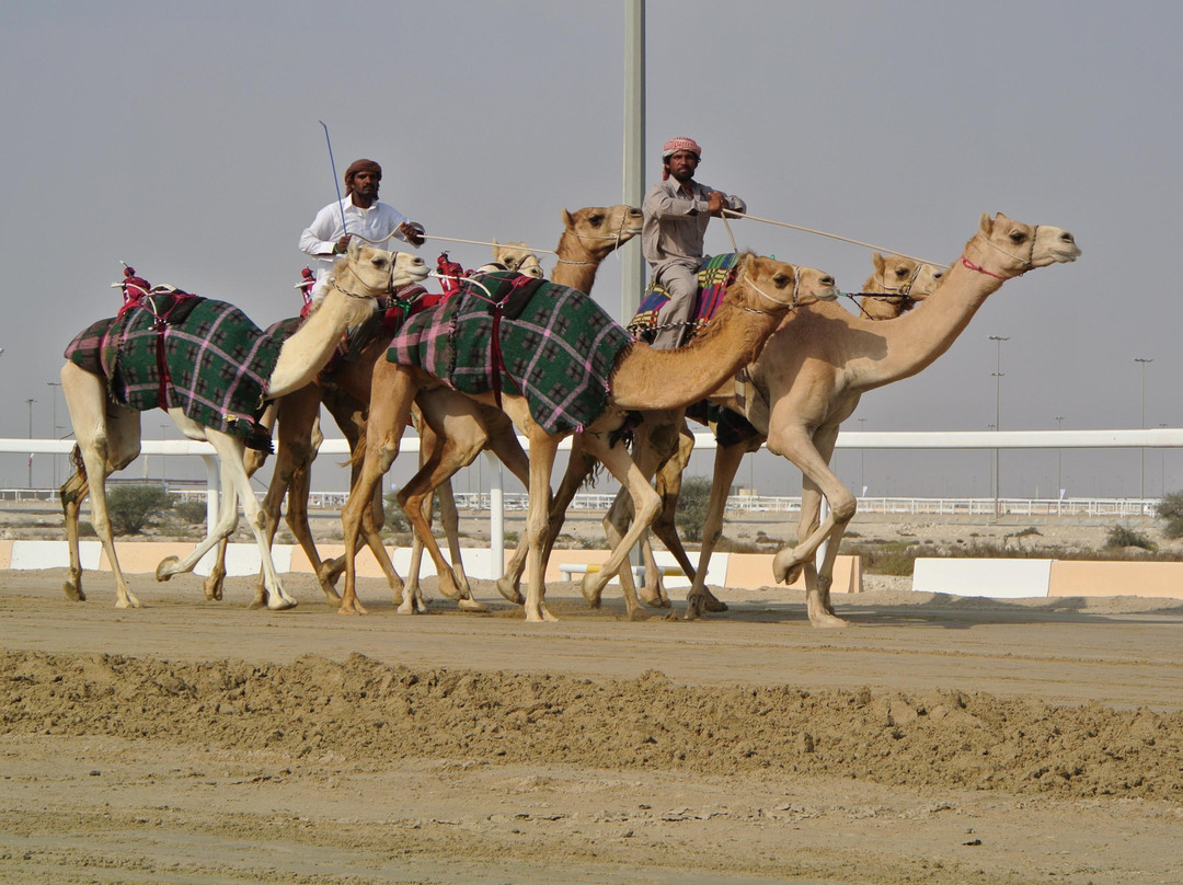 Al Shahaniya Racetrack