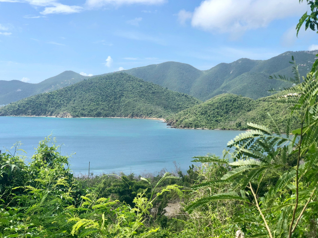 Brown Bay Trail-圣约翰必去景点