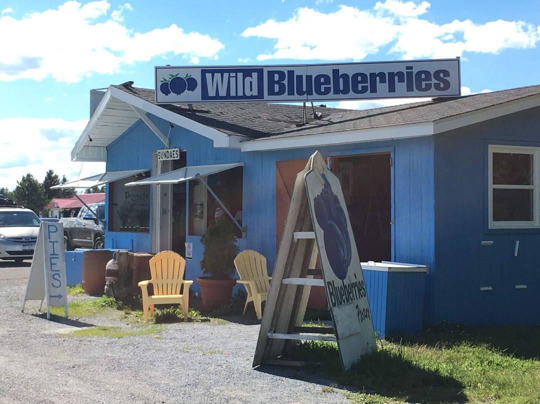 McKay's Wild Blueberry Farm Stand景点图片