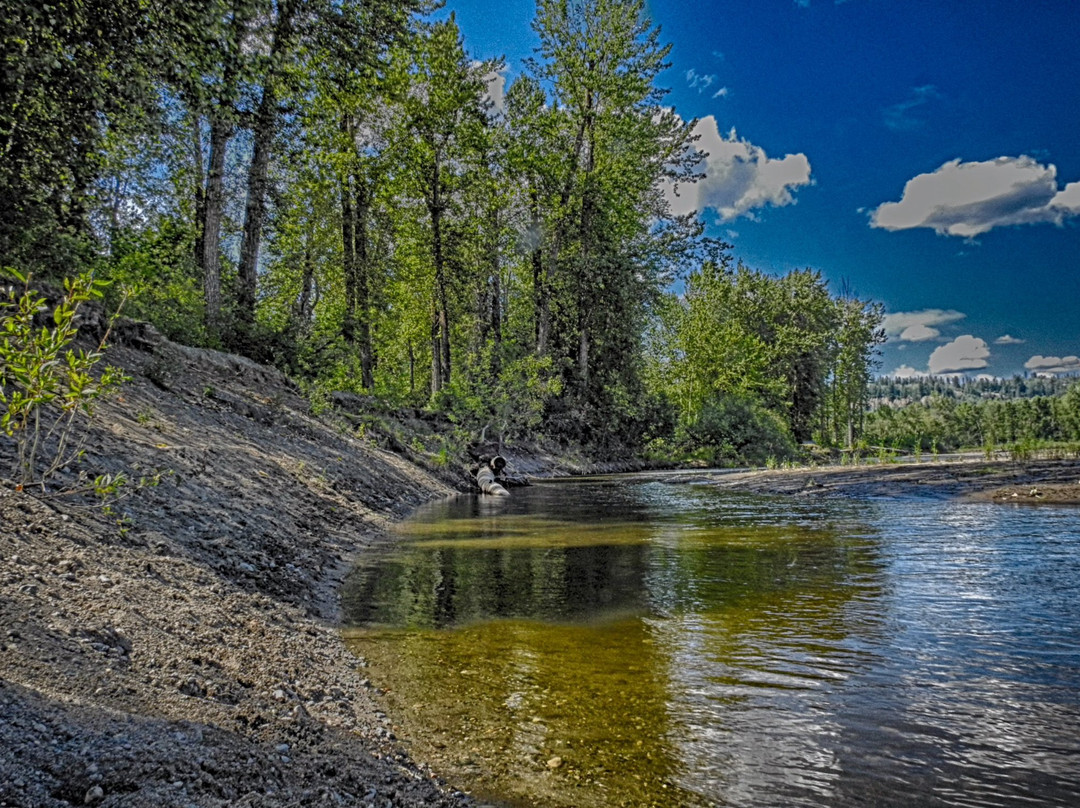 Cottonwood Island Nature Park景点图片