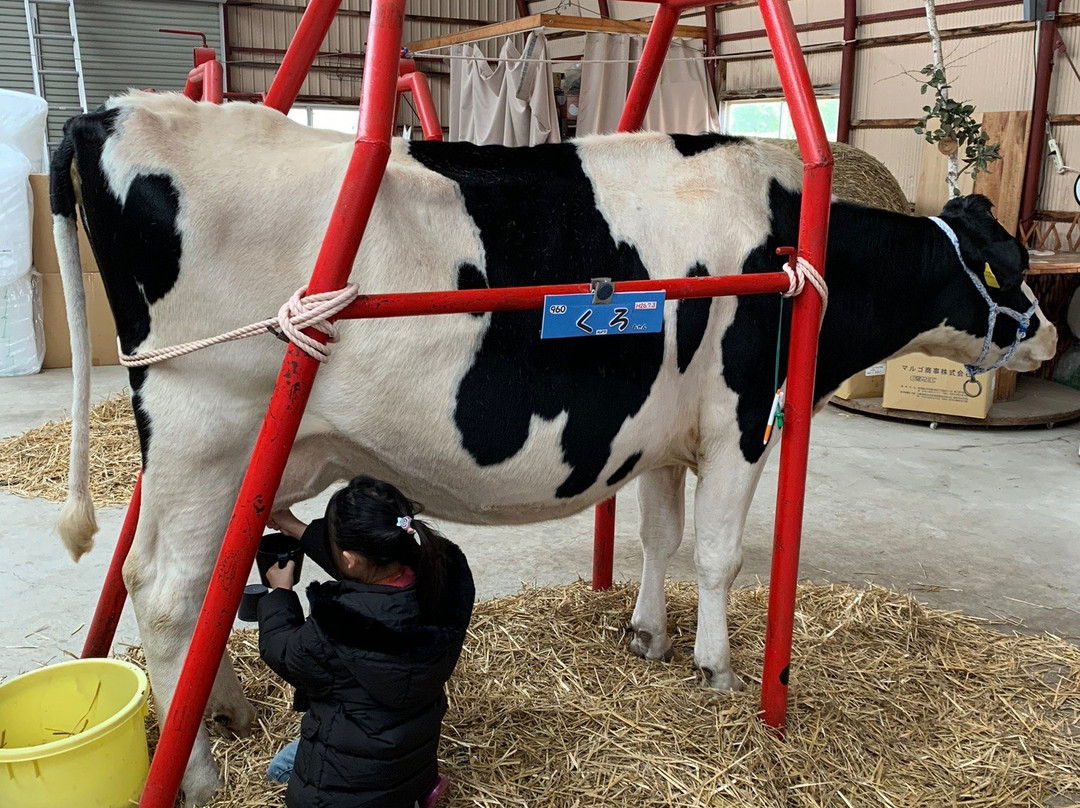 渡邊體驗牧場-弟子屈町必去景点