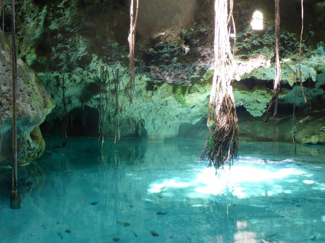 Private Mayan Tours景点图片