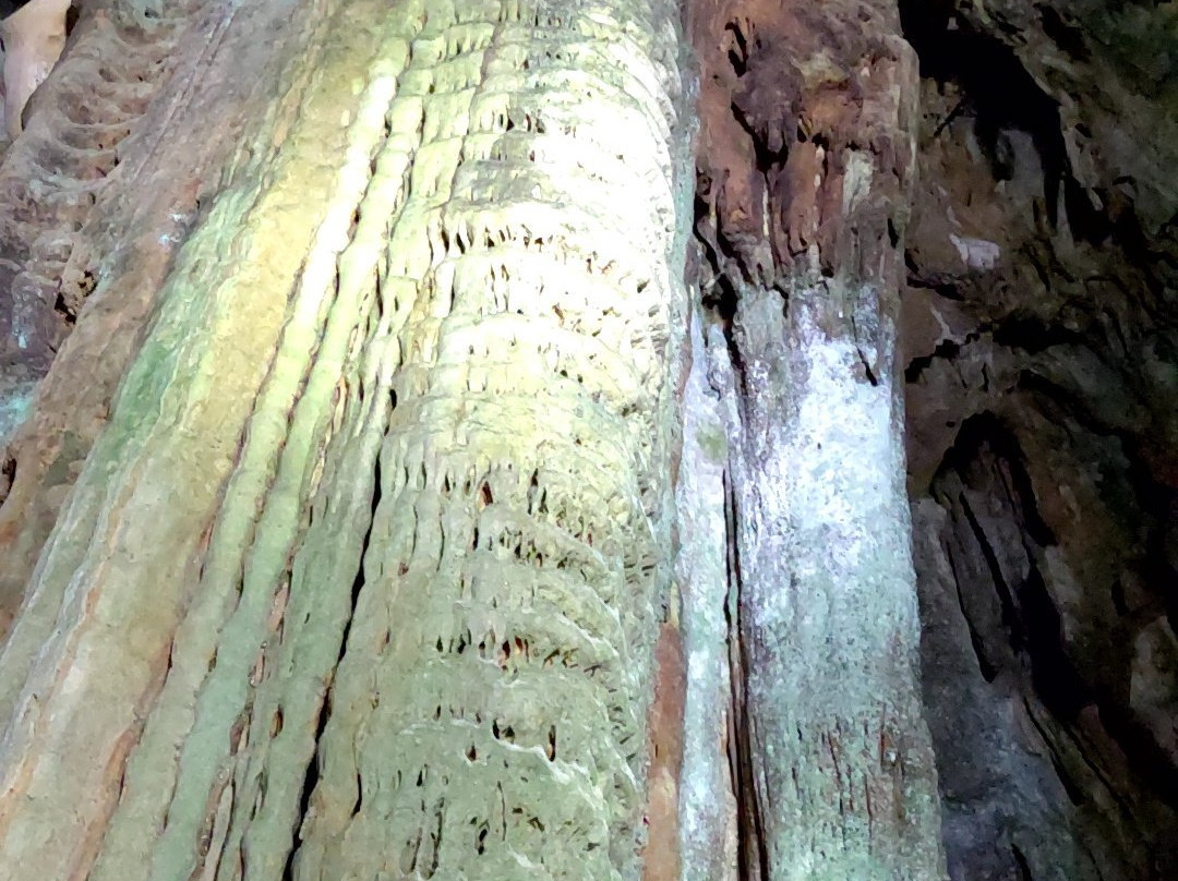 Akiyoshi Cave Golden Pillars景点图片