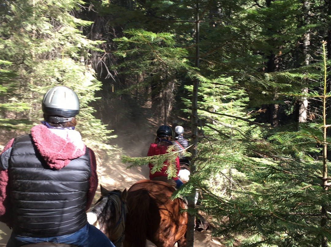 Yosemite Trails Horseback Adventures景点图片
