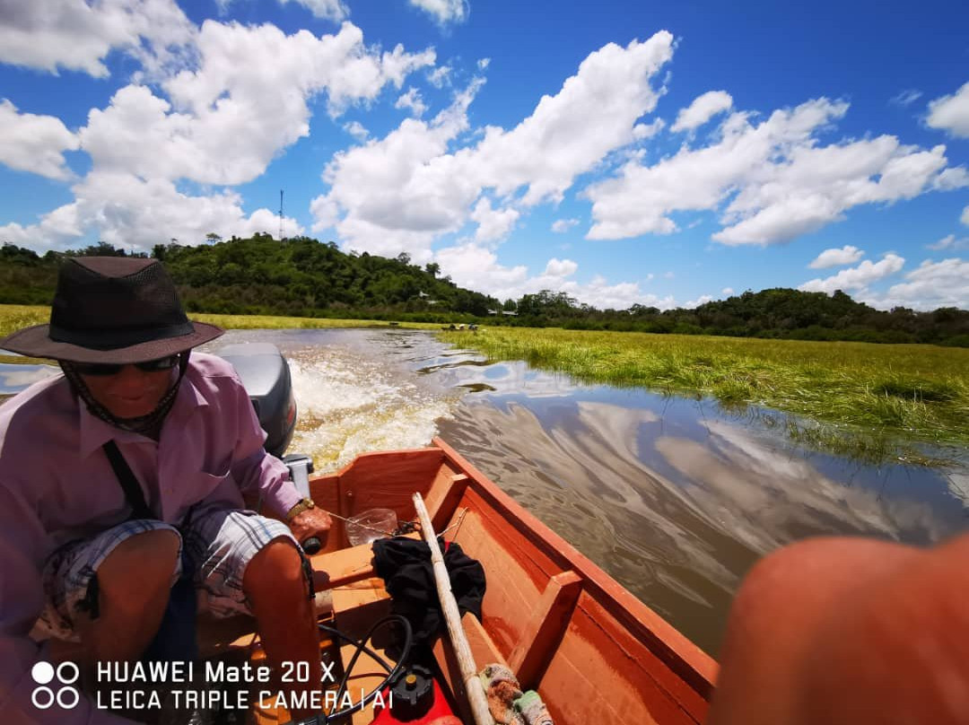 Loagan Bunut National Park-美里必去景点