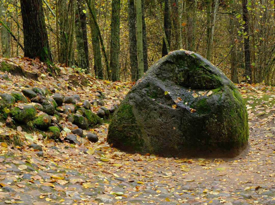 Pokaiņi Forest-Dobele必去景点