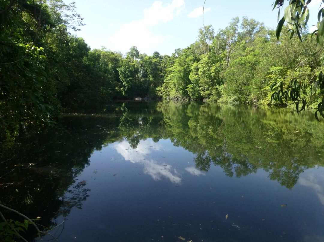 Howard Springs Nature Park景点图片