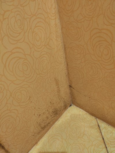 Hanovete Hotel主图