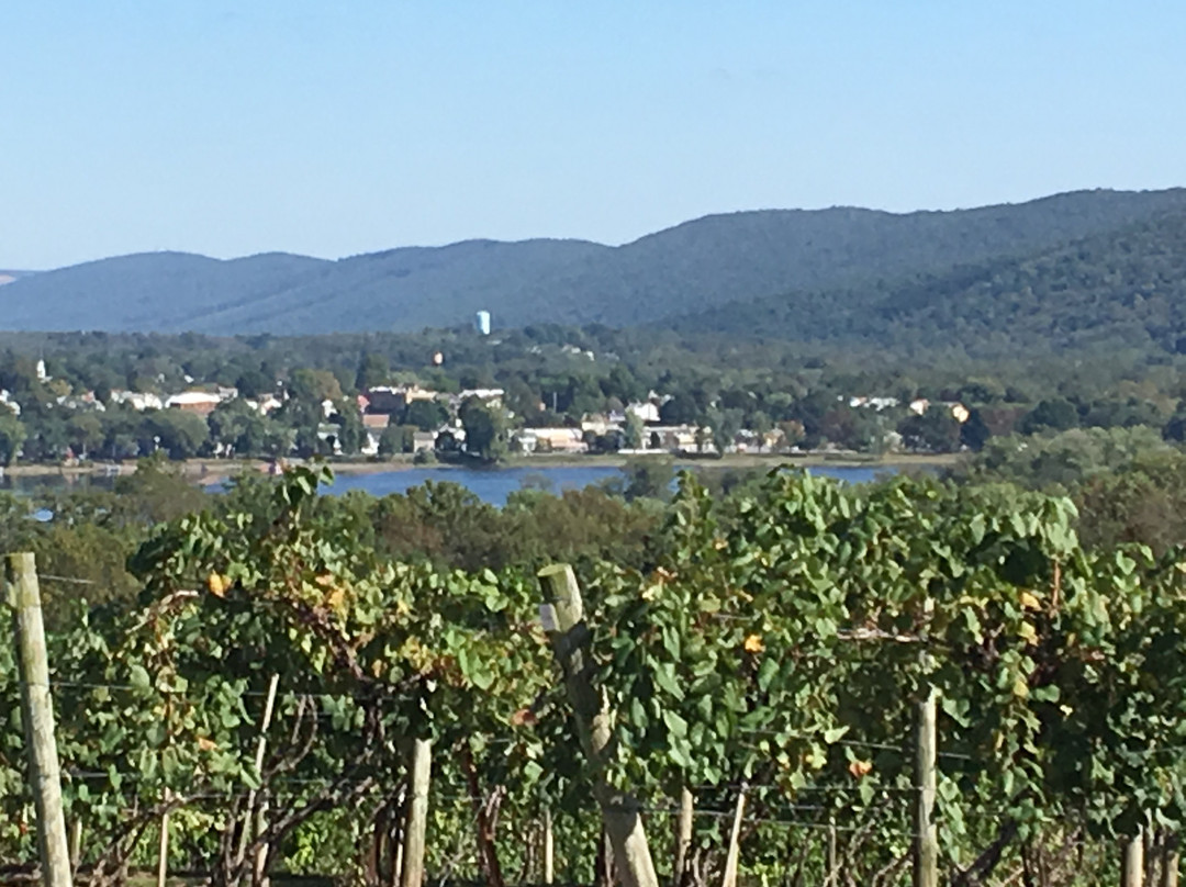 The Winery at Hunters Valley景点图片