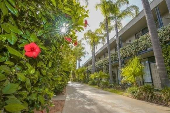 Sandor's Motor Inn主图