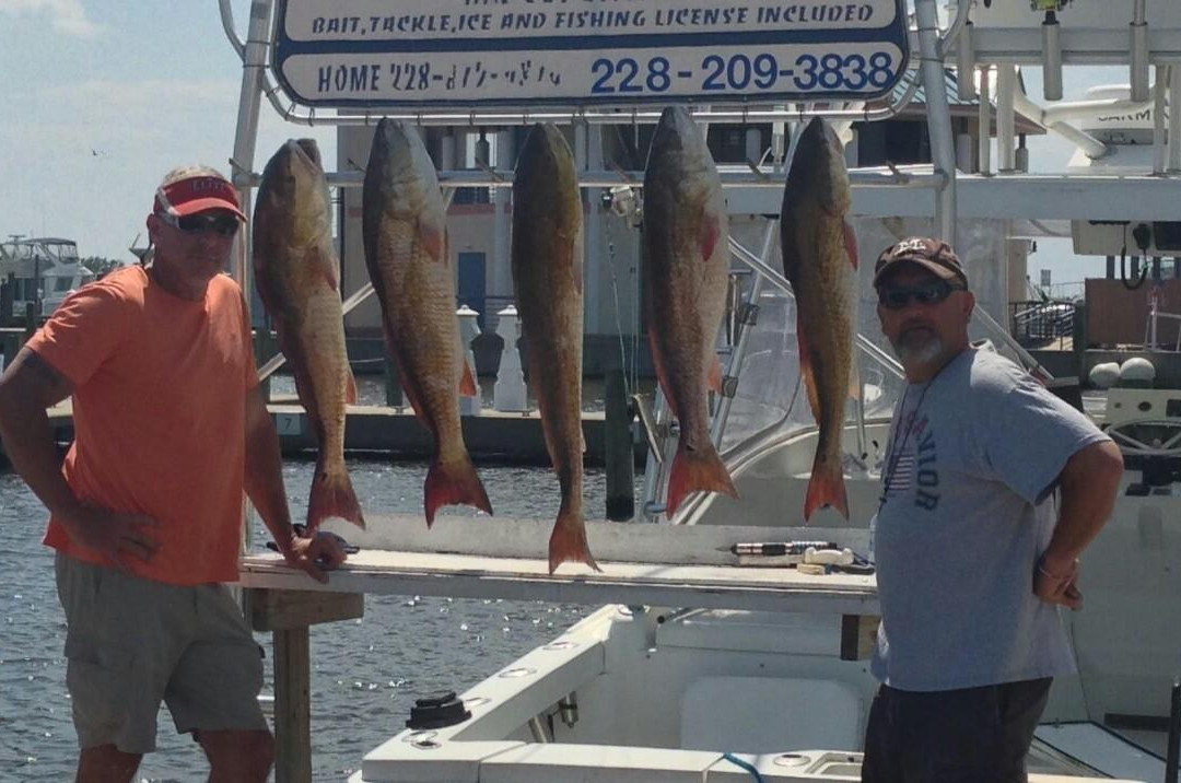 Dominator Fishing Charters-比洛克西必去景点