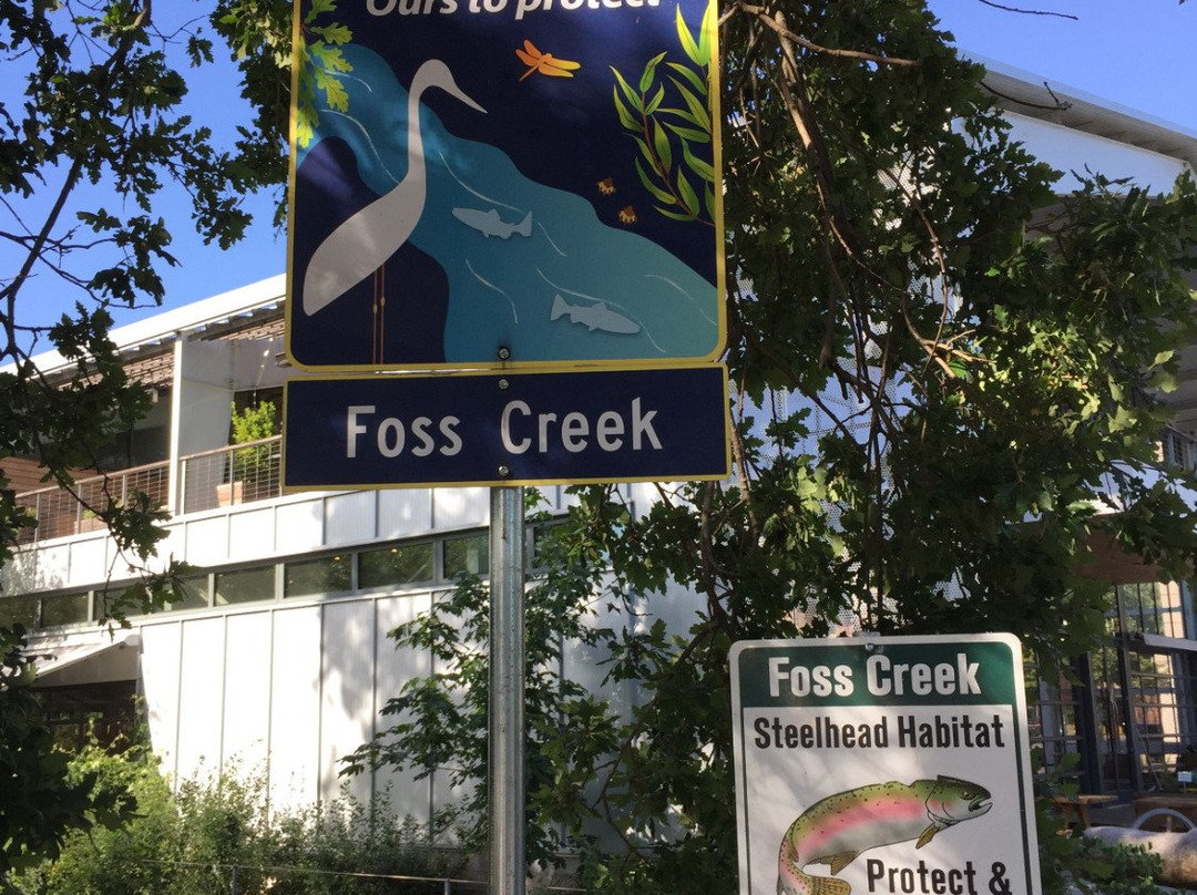 Wetzel Native Plant Garden-希尔兹堡必去景点