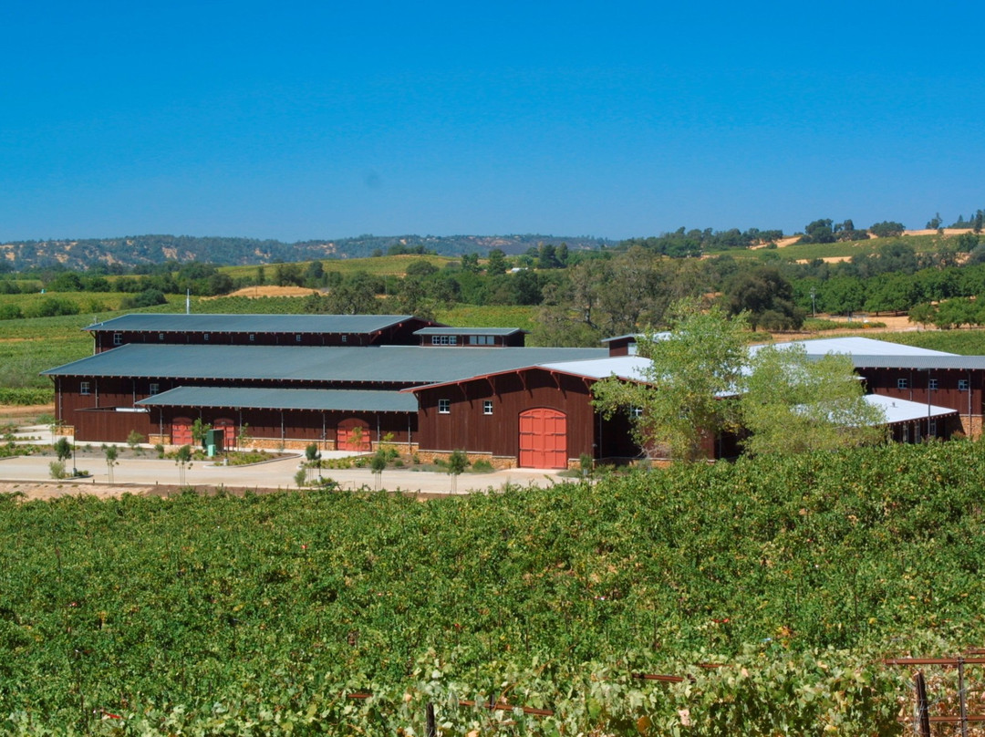 Terra d'Oro Winery景点图片