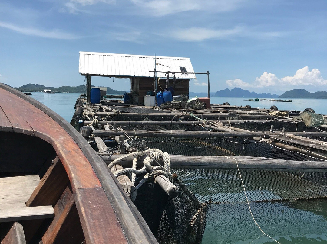 Koh Yao Yai Green Island Tour & Trip-阁耀亚伊岛必去景点