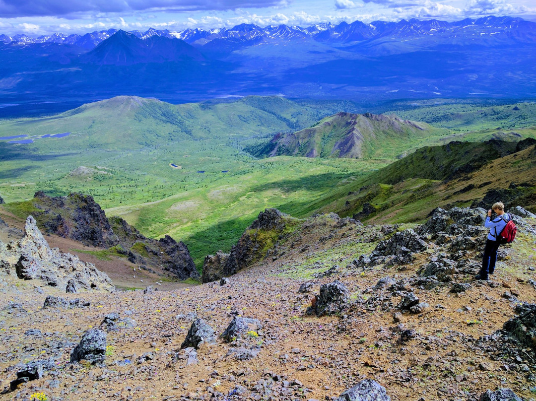 Denali Backcountry Guides景点图片