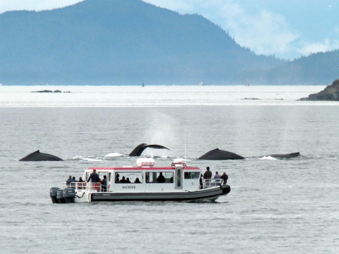 Gastineau Guiding-朱诺必去景点