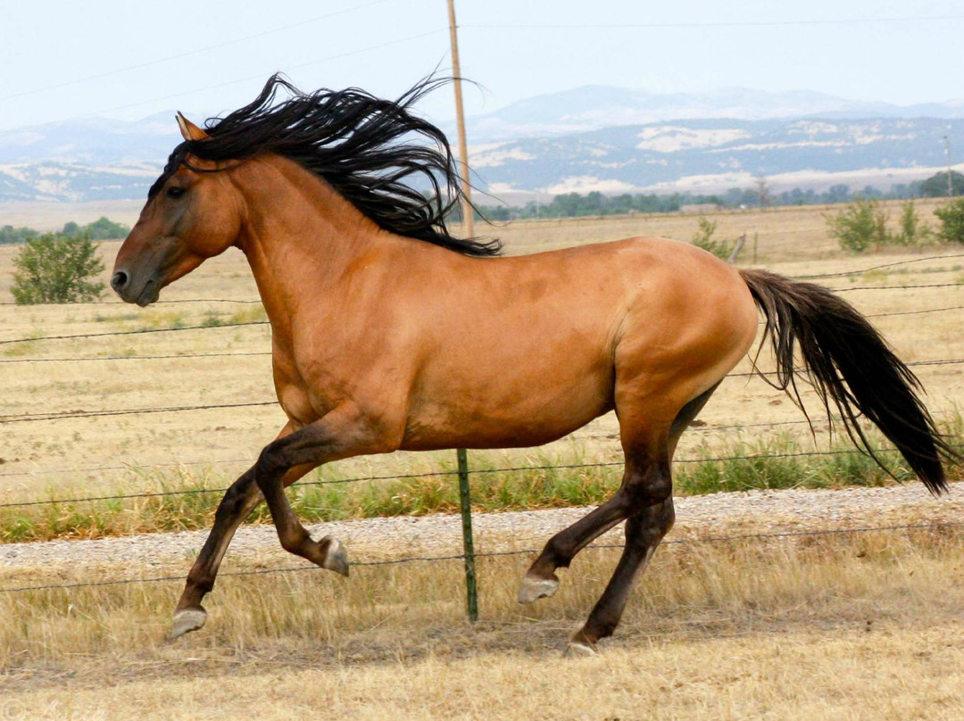 Oral旅游景点-Windcross Conservancy