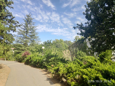 Al-Rom Tourism-El Rom必去景点