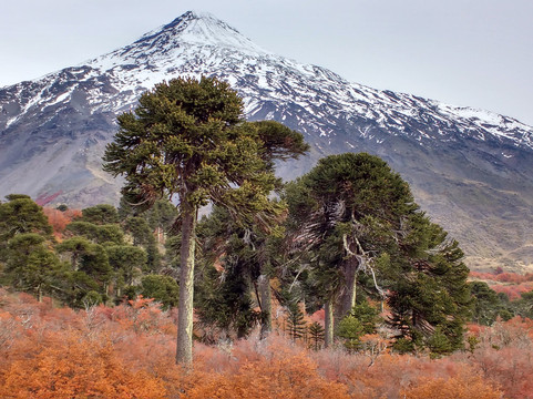 Freedom Patagonia-圣马丁德洛斯安第斯必去景点