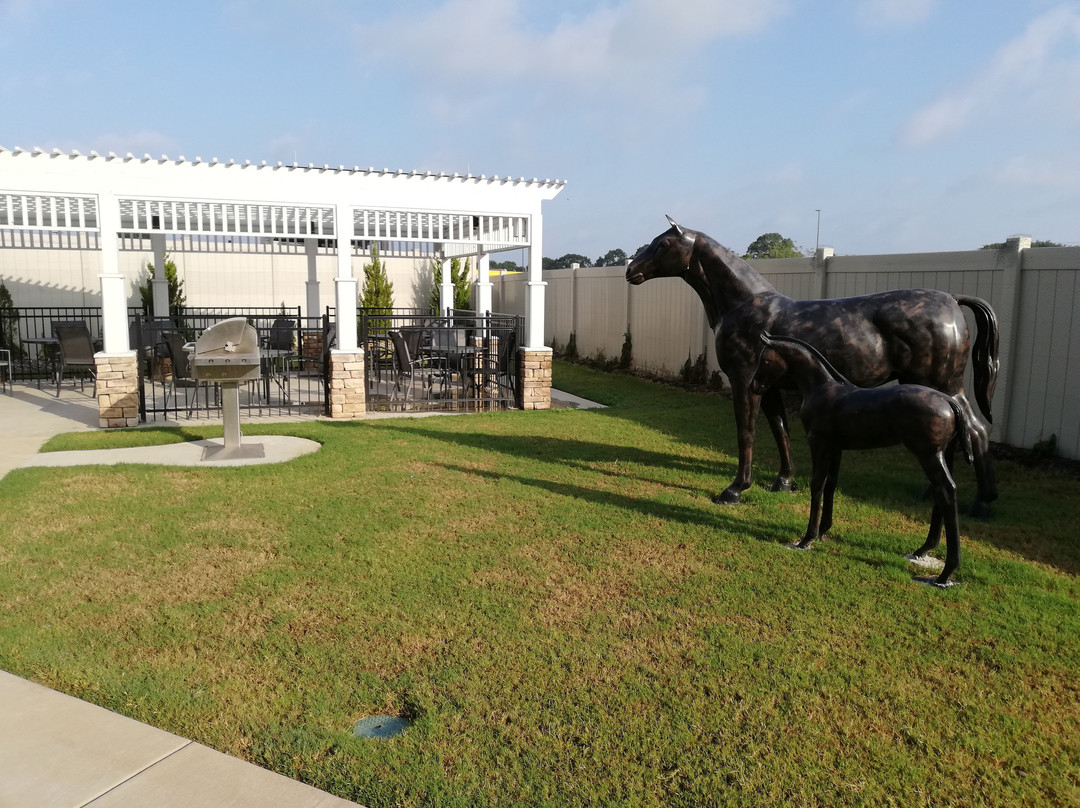 Fairfield Inn & Suites Van主图