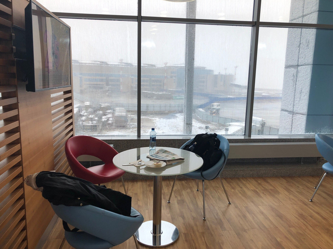 Domodedovo Aero主图