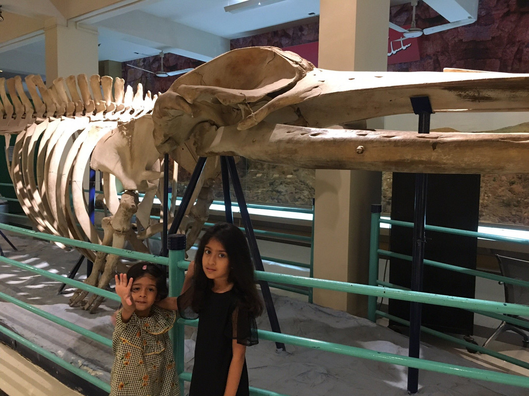 Pakistan Museum of Natural History-伊斯兰堡必去景点