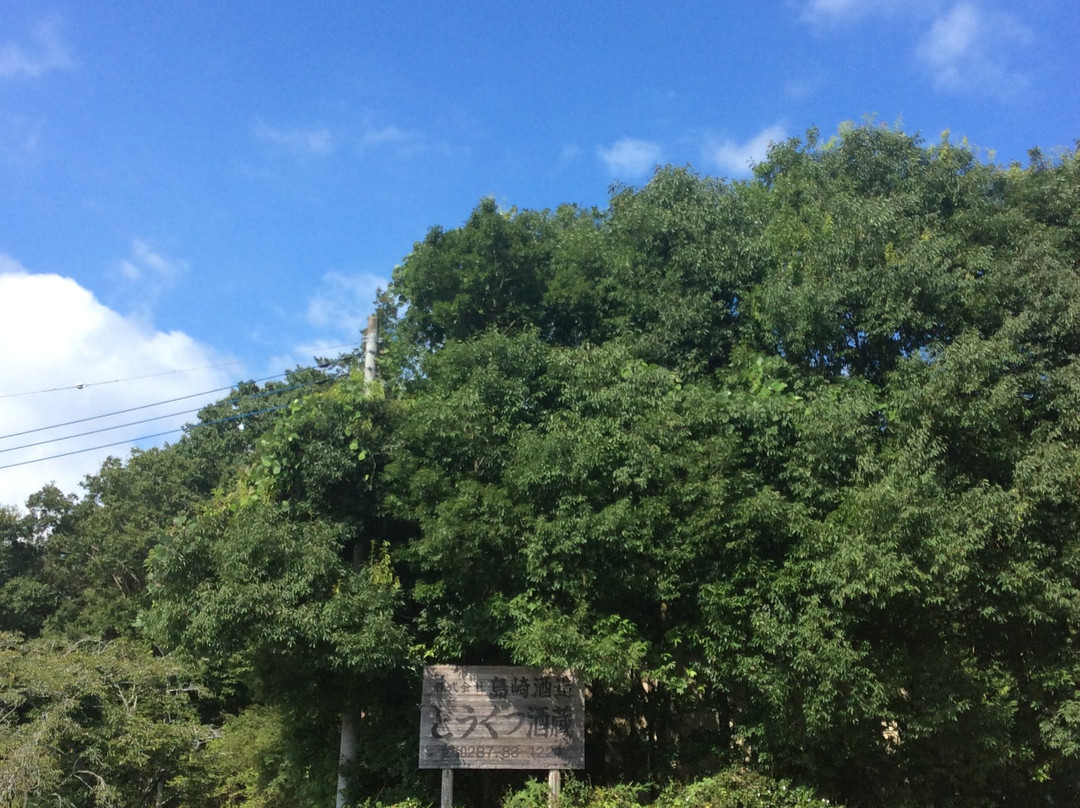 Shimazaki Sake Brewery-那须乌山市必去景点