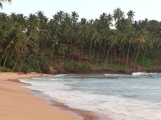 Leatherback Beach Villa主图