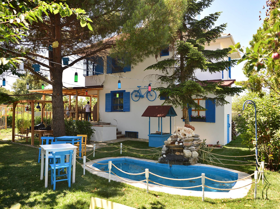 Assos Koy Evi