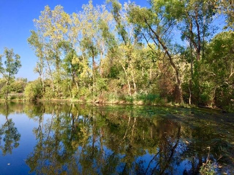 Holiday Beach Conservation Area-阿默斯特堡必去景点
