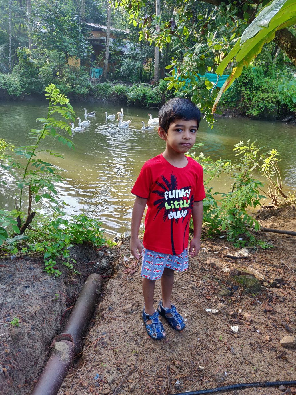 Sri Anandan Residency-酒店景观