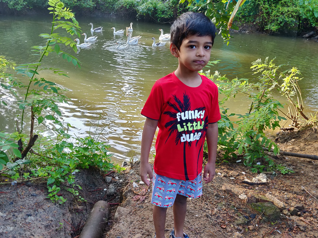 Sri Anandan Residency主图