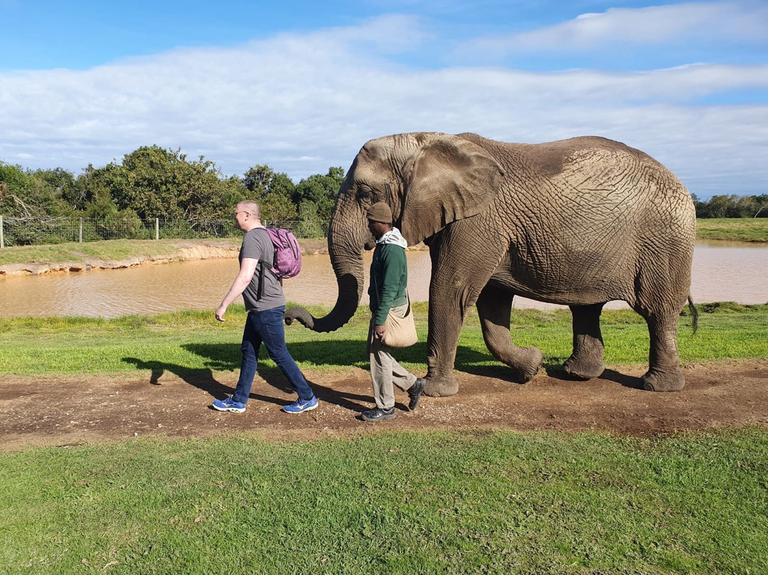 Elephant Sanctuary The Crags景点图片