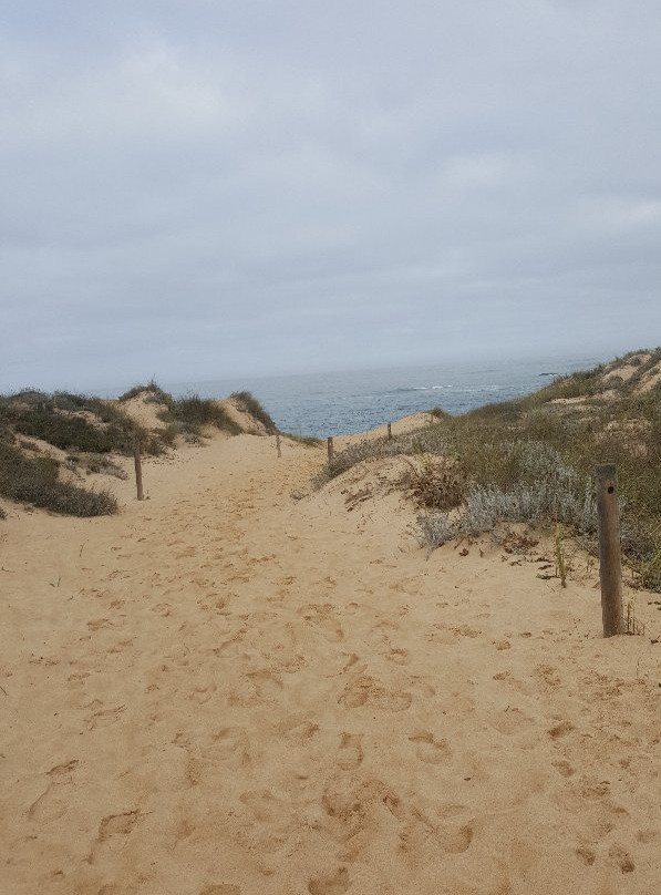 Praia do Farol景点图片