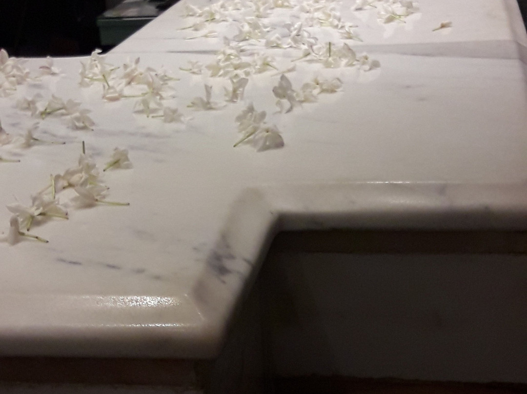 Hôtel El Mansour Mahdia Thalasso & Spa主图