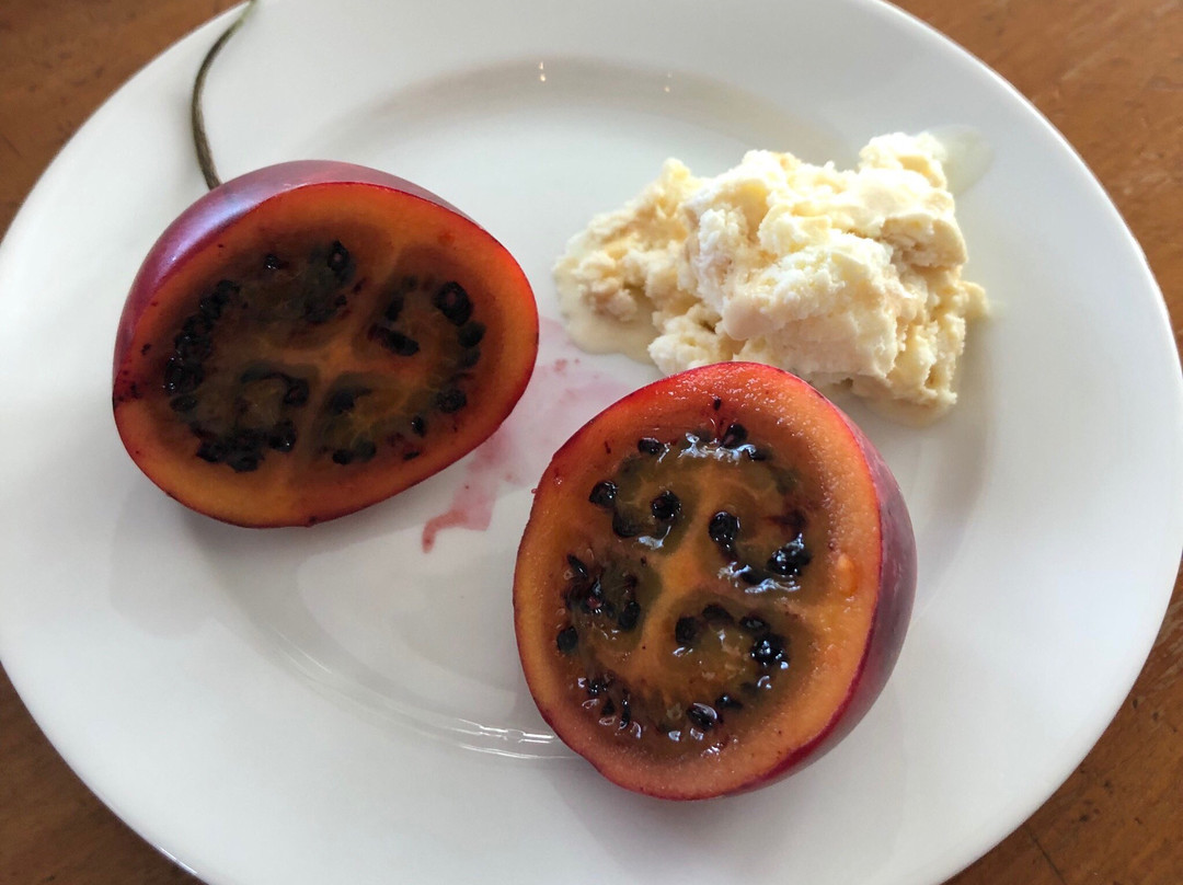 Hunter Gatherer Tours-Havelock North必去景点