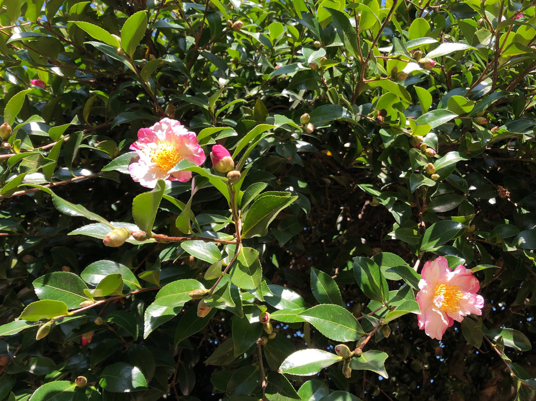 Parque da Quinta das Devesas-波尔图必去景点