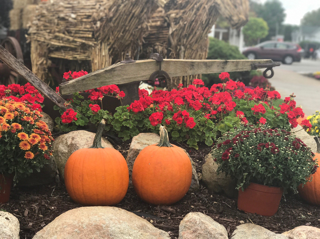 Davis Mercantile-Shipshewana必去景点