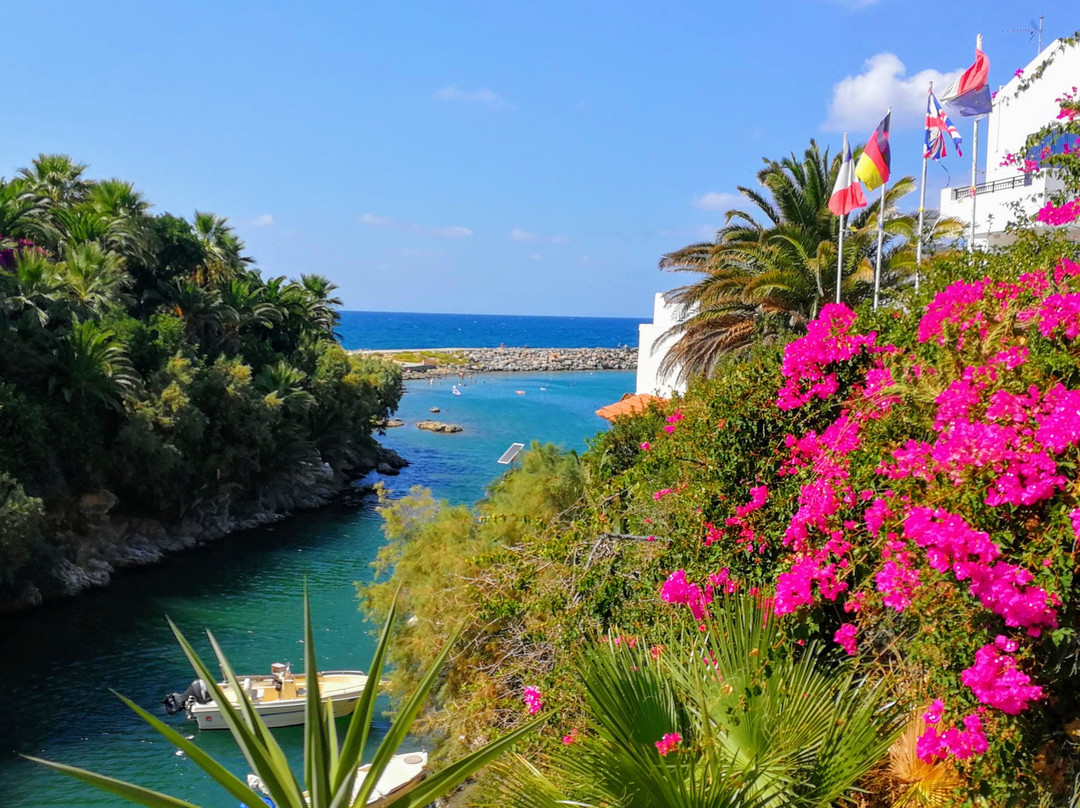 Castello Boutique Resort & Spa主图