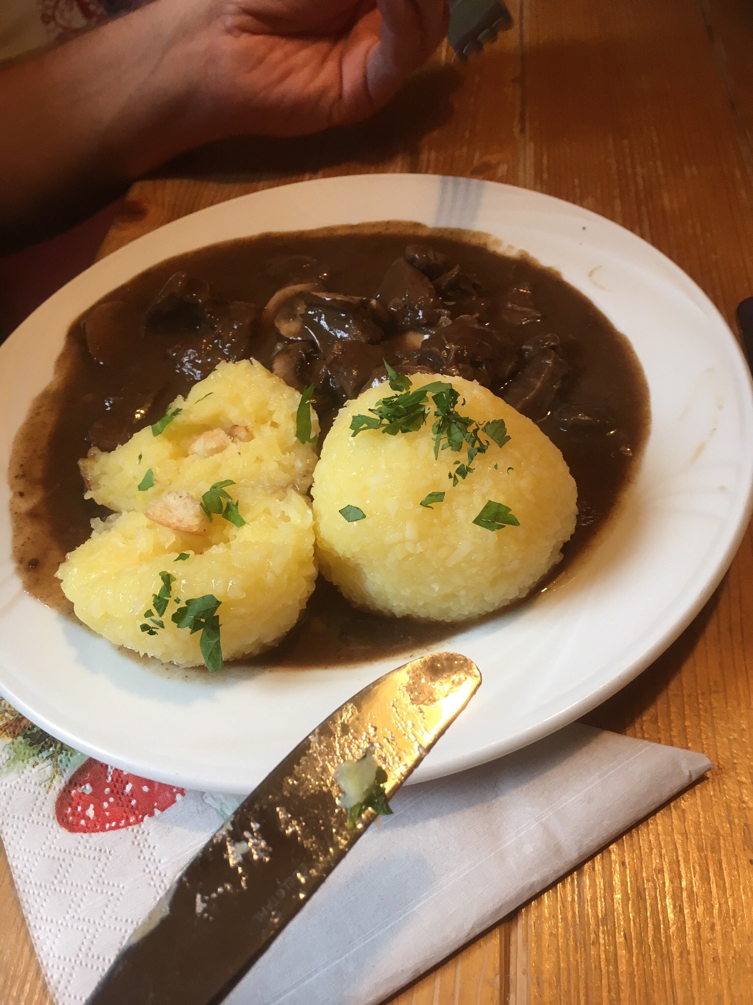 Gasthaus & Pension Zum Hirsch-官方