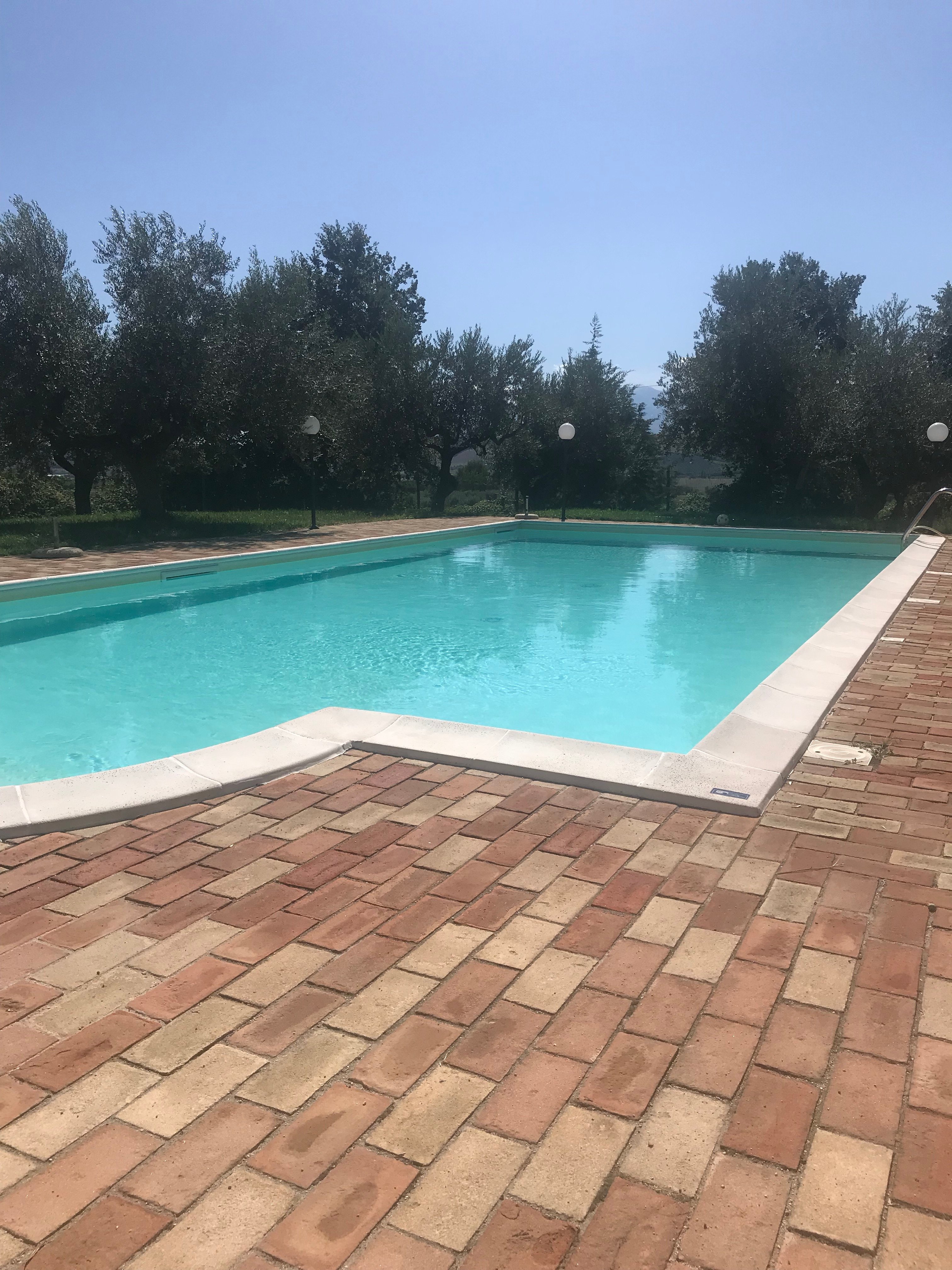 Agriturismo Olivuccia-泳池