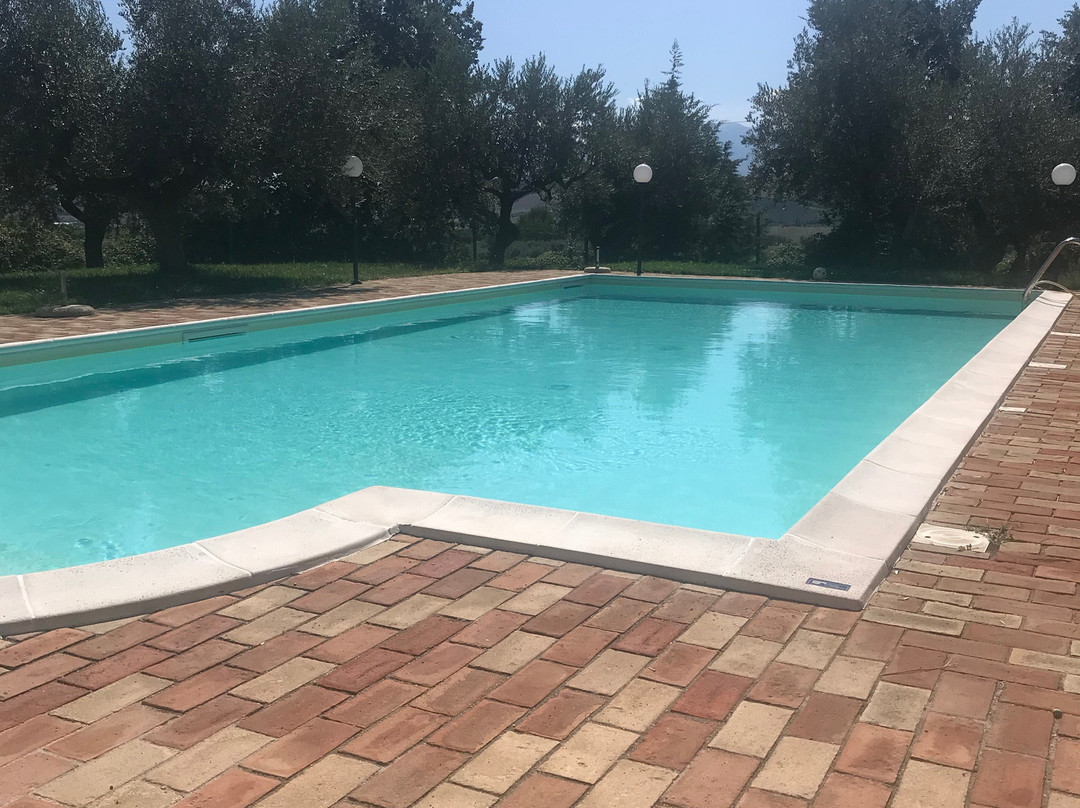 Agriturismo Olivuccia主图