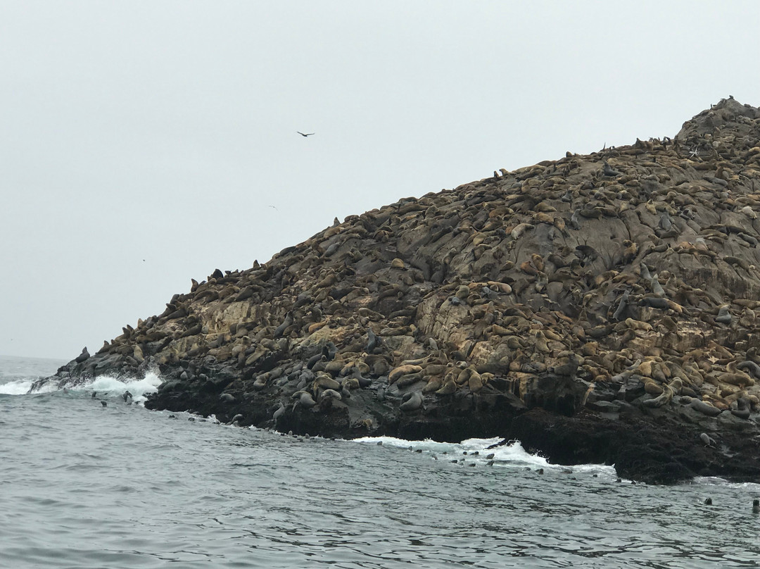 Kuyakuy Travel-利马必去景点