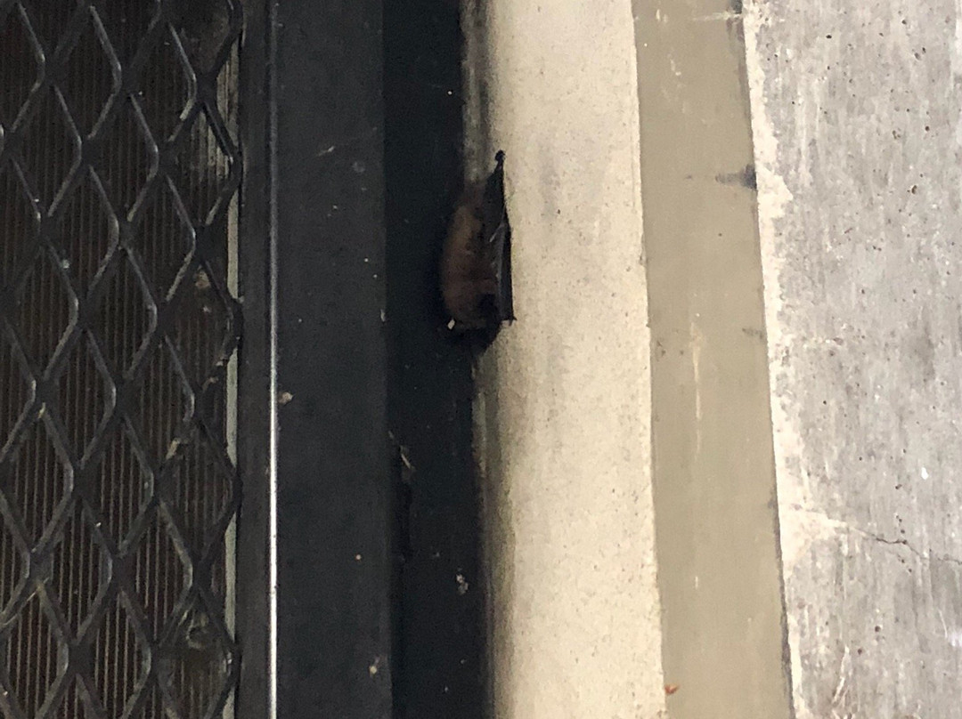 Libby Dam Visitor Center-Libby必去景点